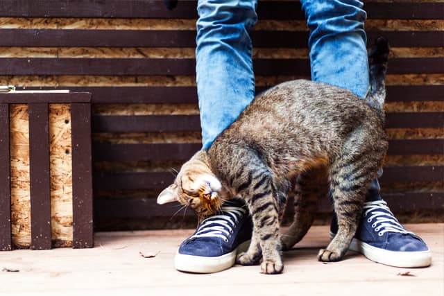 couple in relationship holding hands