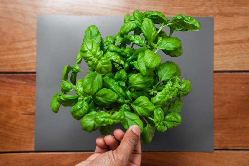 Ten Amazing Health Benefits of Spinach